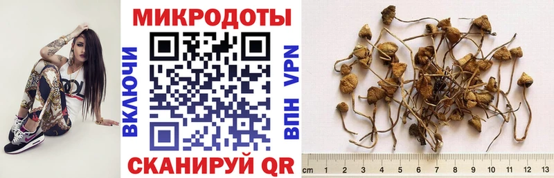 Галлюциногенные грибы ЛСД  купить наркотик  Ступино 